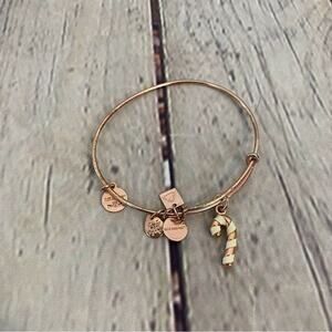 Alex & Ani Rose Gold Candy Cane Charm Bracelet